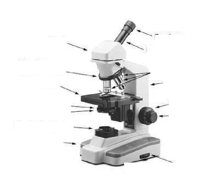https://html1-f.scribdassets.com/6cbf1mohc04rula2/images/8-78b32b0be4.jpg